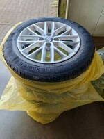 IMG_20260811_084807_020