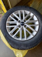 IMG_20260811_084818_128